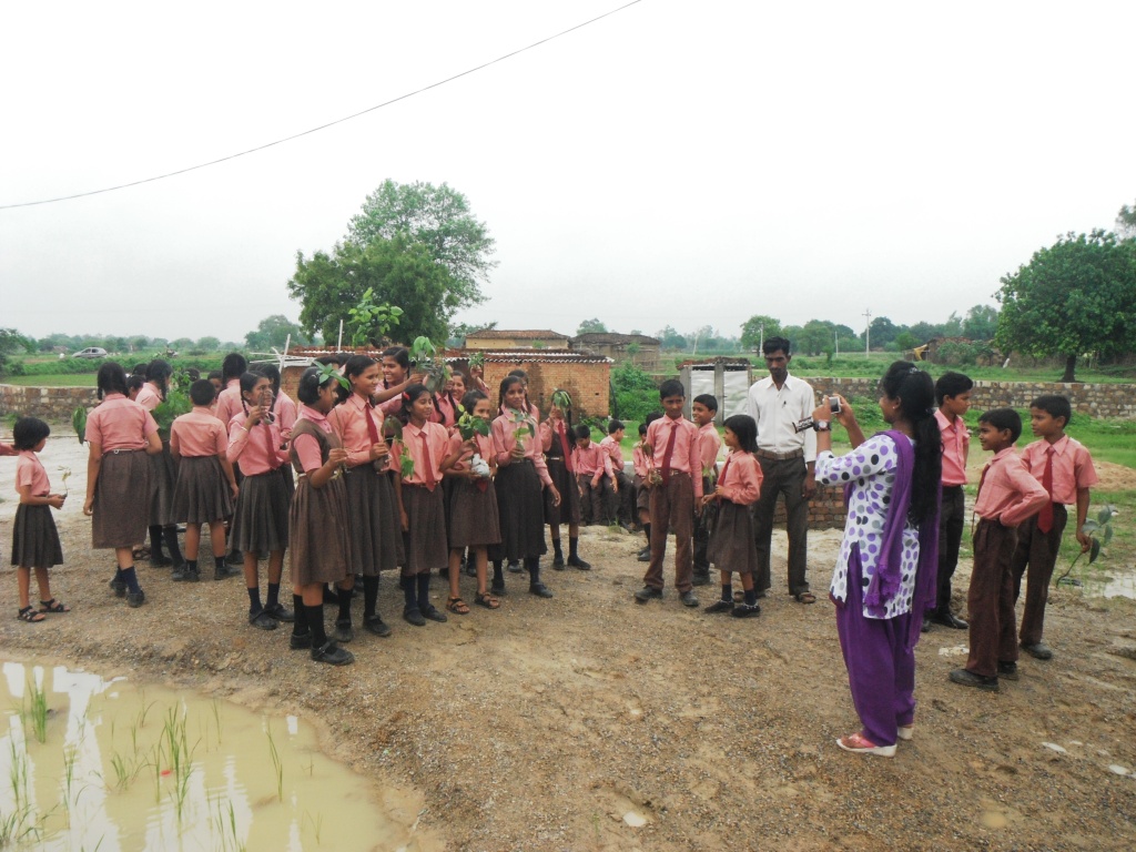 Tree Plantation in a School